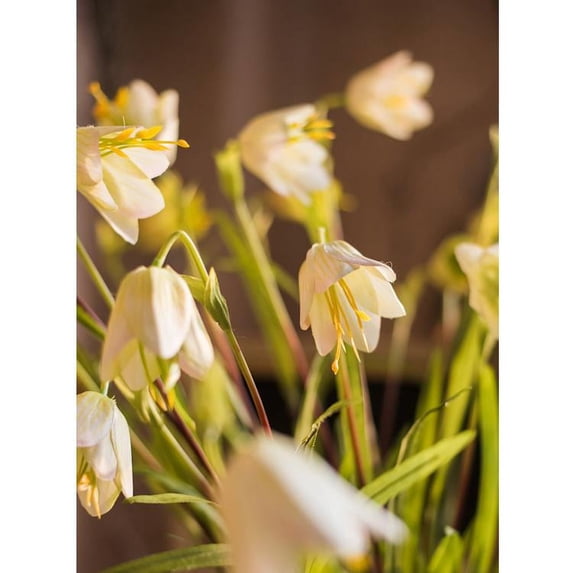 Silk Fritillaries Lily Flower Stem 26" Tall