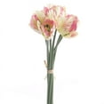 thumbnail image 1 of Silk Imitation Cream & Pink Ruffled Tulip Bouquets, 3 Bouquets with 6 Blooms, 1 of 3
