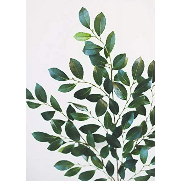 Silk Italian Ruscus Stem - 26" Tall