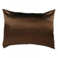 thumbnail image 1 of Silk Pillowcase for Hair and Skin, 100% Mulberry Silk Bed Pillowcase with Hidden Zipper, Both Side Silk Pillow Cover Soft Breathable Smooth, 1 Pack Queen Size Pillow Case(20x29 inches/ 20x26inches), 1 of 5