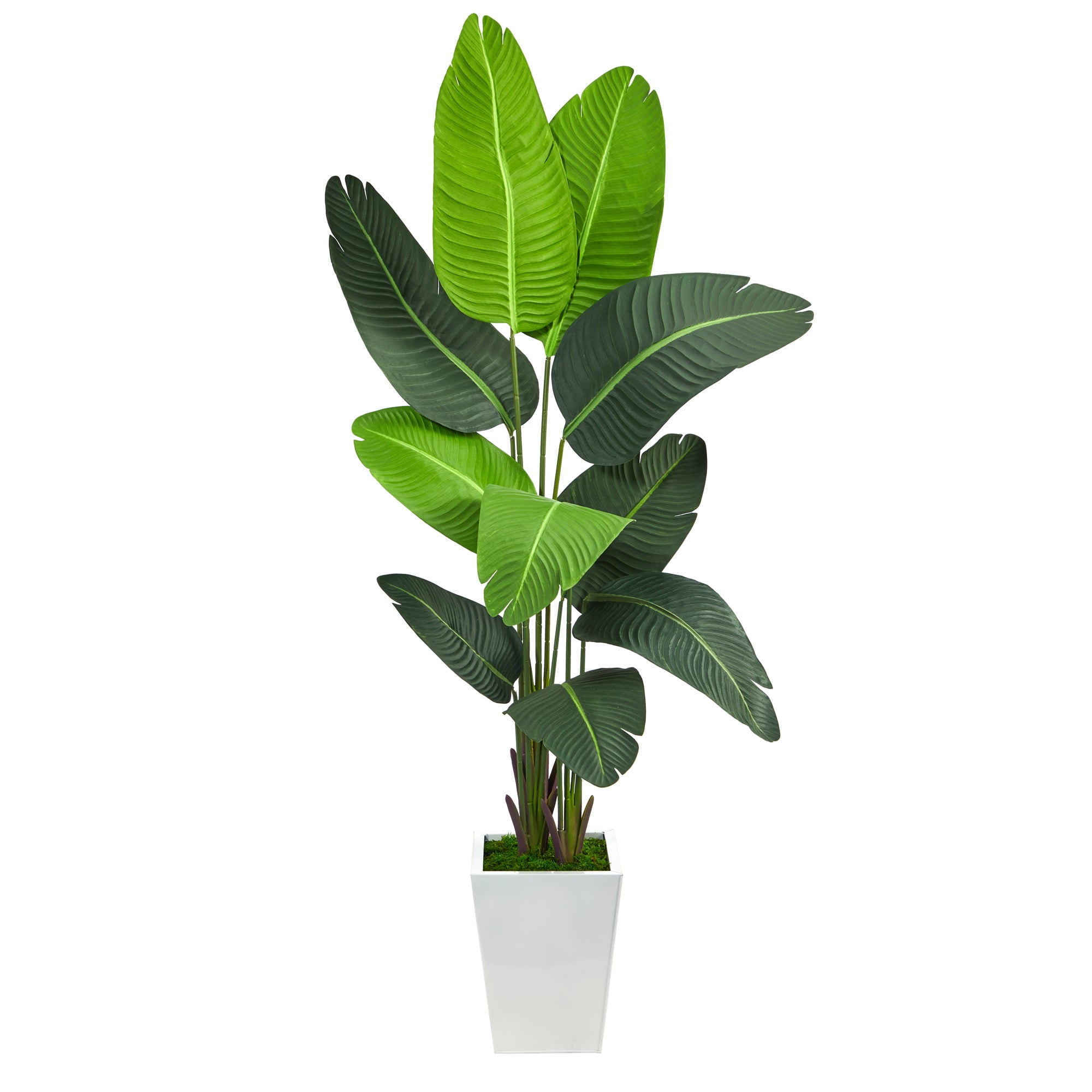 Lifelike Variegated Palm 61" Artificial Tree in White Planter