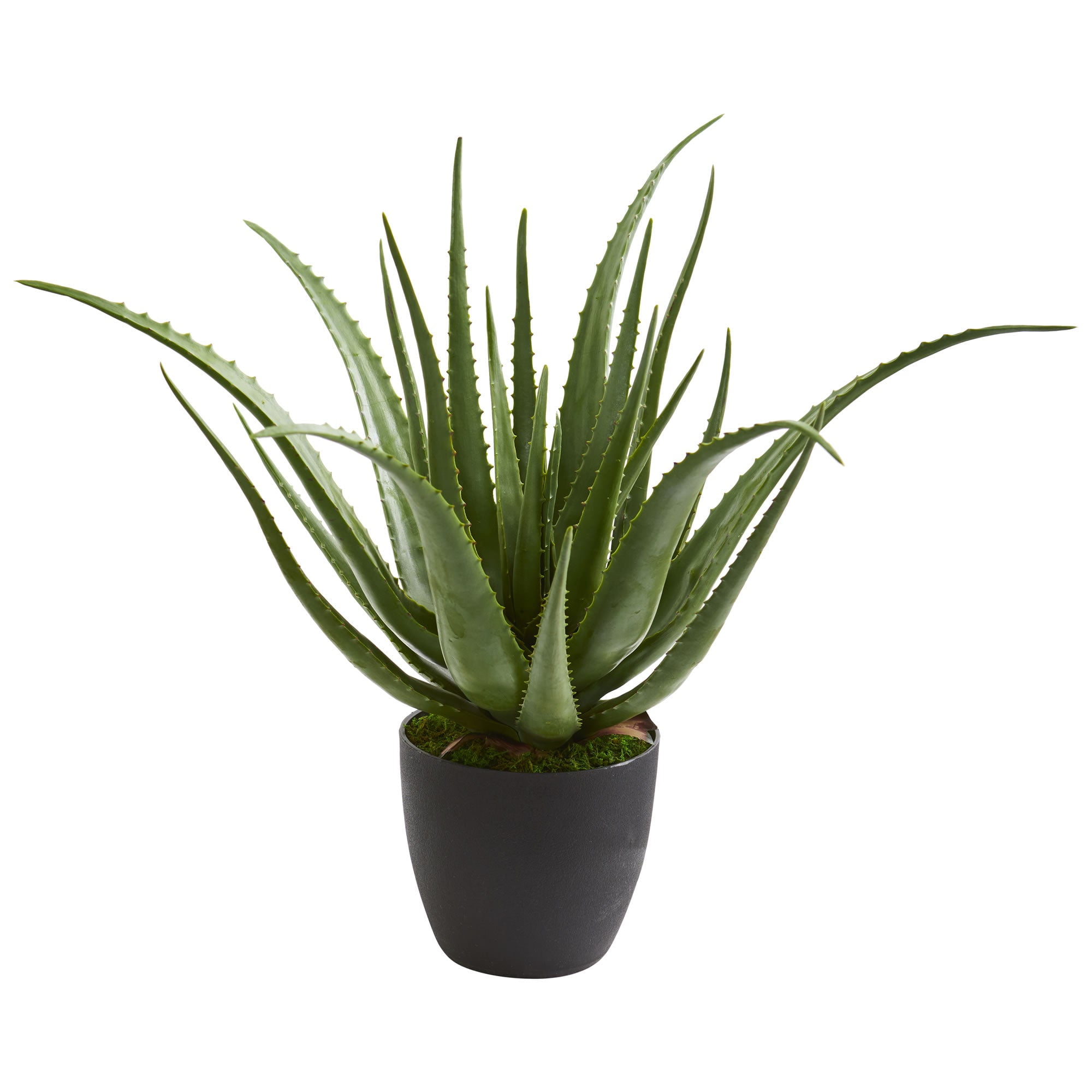 Summer Breeze 25" Dusty Green Plastic Aloe Potted Arrangement