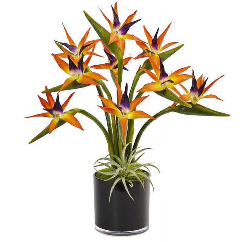 30" Black Glossy Cylinder Potted Silk Bird of Paradise Arrangement
