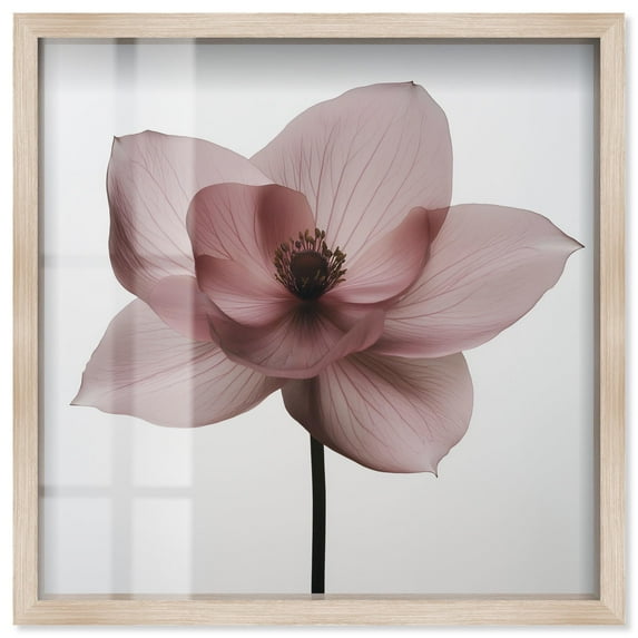 Silken Sepals Shadowbox Print Floral Wall Decor by Art Remedy, Blonde Frame, 40 x 40