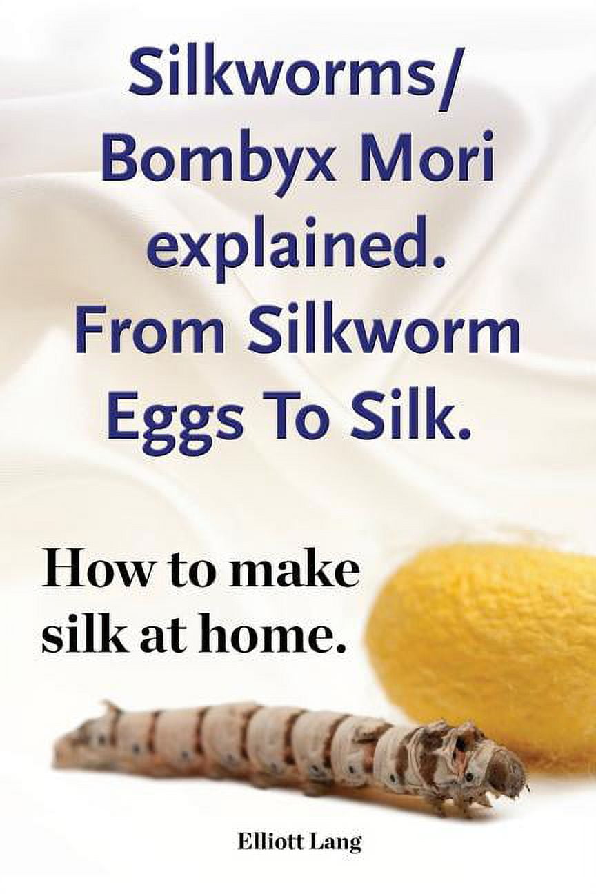 Silkworm/Bombyx Mori explained. From Silkworm Eggs To Silk. How to make