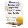 Silkworm/Bombyx Mori explained. From Silkworm Eggs To Silk. How to make