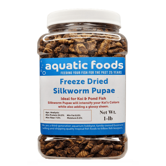 Silkworm Pupae, Freeze Dried for Koi, Pond Fish, Turtles, Large Fish. Silkworm is Rich in Natural Lipids & Proteins and a Natural Color Enhancing Treat..1-lb Med Jar