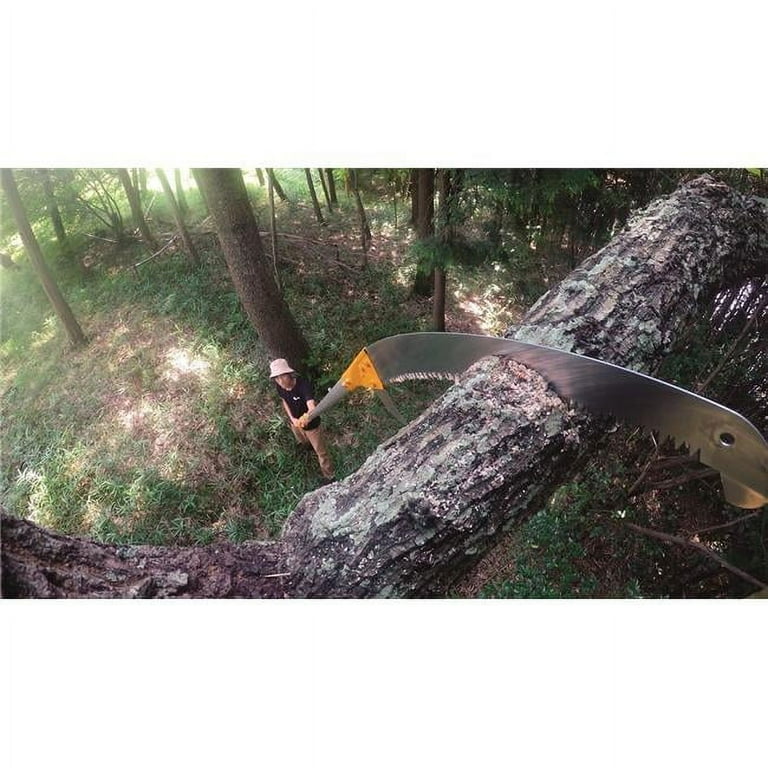 Silky hayate pole saw discount
