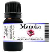 Manuka (Tea Tree New Zealand) Wild Crafted Essential Oil