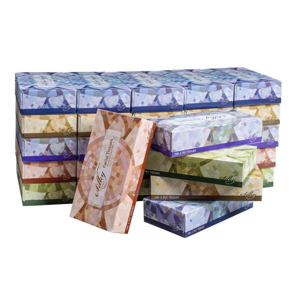 Silky Soft 2-Ply Facial Tissues, White, 100 Tissues/Box, 30 Boxes (3,000 Total Tissues)