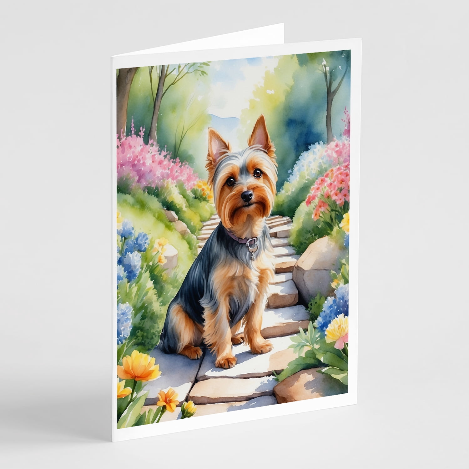 Silky Terrier Spring Path Greeting Cards Pack of 8 7 in x 5 in
