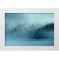 thumbnail image 1 of Sillen, Christina 24x17 White Modern Wood Framed Museum Art Print Titled - Wintersaga, 1 of 4