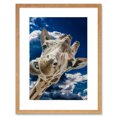 thumbnail image 1 of Silly Giraffe Face Cute Framed Wall Art Print, 1 of 5
