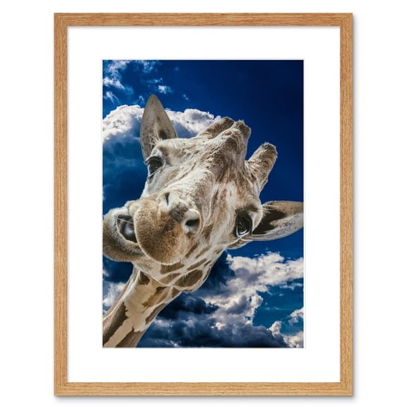 Silly Giraffe Face Cute Framed Wall Art Print