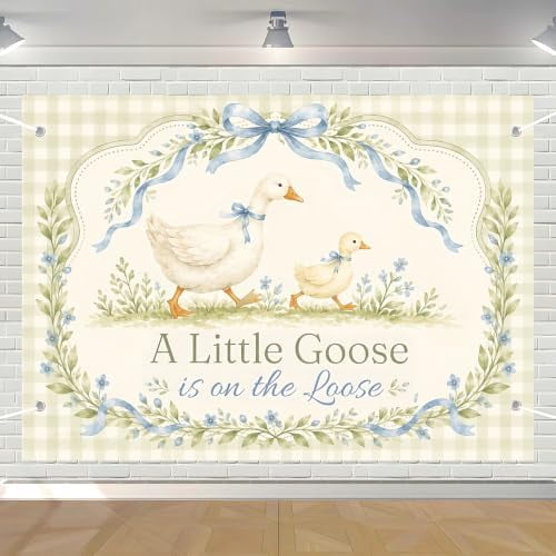 Goose Custom Silly Goose Baby Shower Backdrop A Silly Goose is On The Loose Banner ...