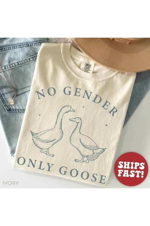 Silly Goose Nonbinary Shirt, Genderfluid Pride Tee, Agender Graphic T-Shirt, LGBTQ Support Shirt, Inclusive Pride Gift