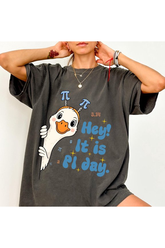 Silly Goose Pi Day Shirt Math Teacher Tshirt Funny Pi Day Tee Math Humor Goose Apparel STE