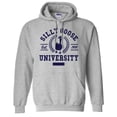 thumbnail image 1 of Silly Goose University Hoodie Sweatshirt Unisex 2X-Large Grey, 1 of 5