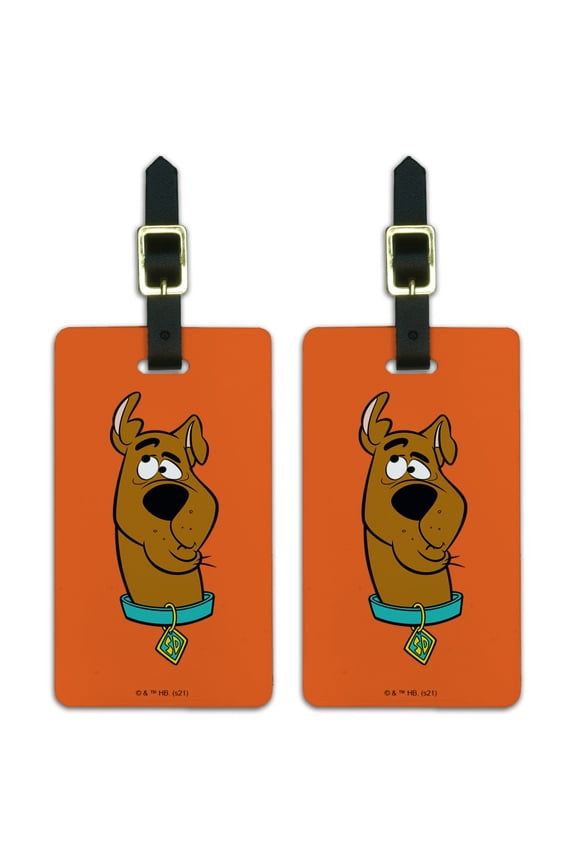 Silly Scooby Doo Luggage ID Tags Set of 2