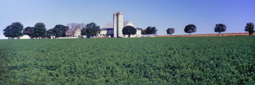 Silo in a farm Amish country Holmes County Ohio USA Canvas Art - Panoramic Images (27 x 9)