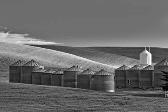 Silos Canvas Art - Dennis Frates (24 x 36)