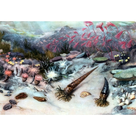 Silurian Seascape Poster Print by Science Source (24 x 18)