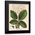 thumbnail image 1 of Silva, John 12x14 Black Modern Framed Museum Art Print Titled - Large Leaved Cotinus, 1 of 5