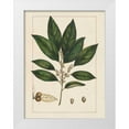thumbnail image 1 of Silva, John 12x14 White Modern Wood Framed Museum Art Print Titled - Silva Leaves IV, 1 of 4
