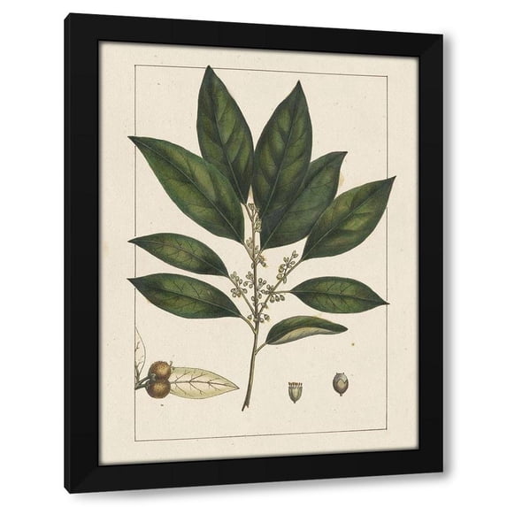 John Silva 15x18 Black Modern Wood Framed Wall Art Titled - Custom Silva Leaves IV (ASH)