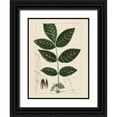 thumbnail image 1 of Silva, John 15x18 Black Ornate Wood Framed with Double Matting Museum Art Print Titled - Silva Leaves I, 1 of 4