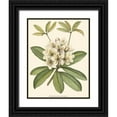 thumbnail image 1 of Silva, John 19x24 Black Ornate Wood Framed with Double Matting Museum Art Print Titled - Rhododendron, 1 of 4