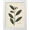 thumbnail image 1 of Silva, John 25x32 White Modern Wood Framed Museum Art Print Titled - Custom Silva Leaves V (ASH), 1 of 4