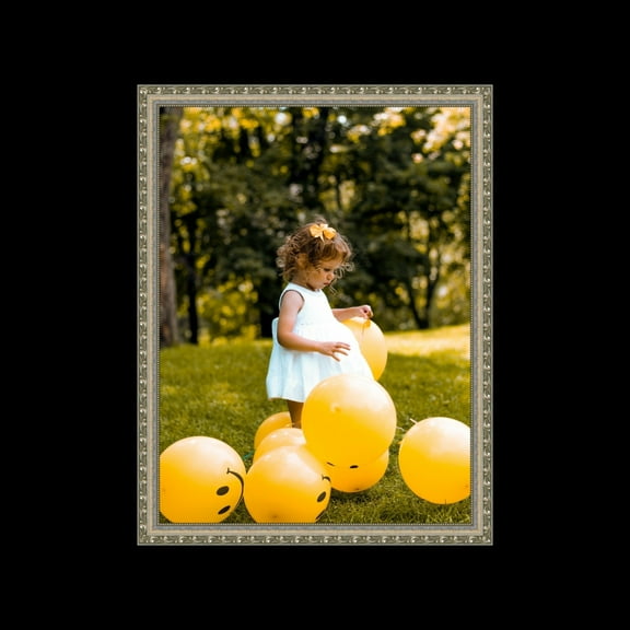 Silver 30x41 Picture Frame Ornate Traditional antique