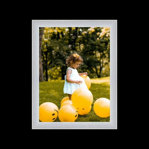 Silver 30x45 Picture Frame Ornate Traditional antique