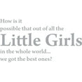 thumbnail image 1 of Silver 37" x 20" Decaltor How is IT Possible That Out of All The Little Girls Kids Room Sayings Words Art Decor Lettering Vinyl Wall Art Inspirational Uplifting, 1 of 1