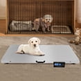 thumbnail image 1 of Silver Animal Digital Scale Accurate Weighing Tool for Pets 40.74*20.86*2.36inch Animal Digital Scale, 1 of 15