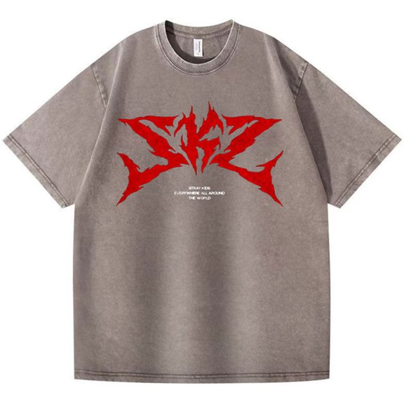 Silver Basic Retro Stray Short Sleeved T-shirt With Letter Print Pure Cotton Women's And Men's Streetwear Tops L,LightCoffee-1