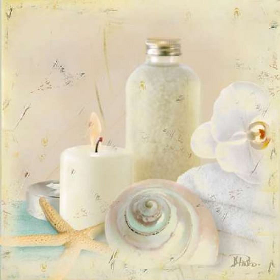 Silver Bath I Canvas Art - Patricia Pinto (24 x 24)