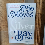 Silver Bay (Paperback)
