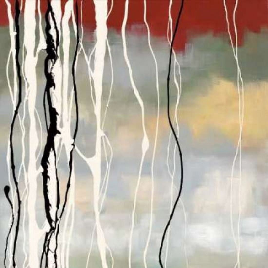 Silver Birch II Canvas Art - Laurie Maitland (24 x 24)
