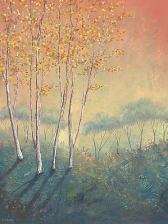 Silver Birch Tree in Autumn Canvas Art - Serena Sussex (18 x 24)