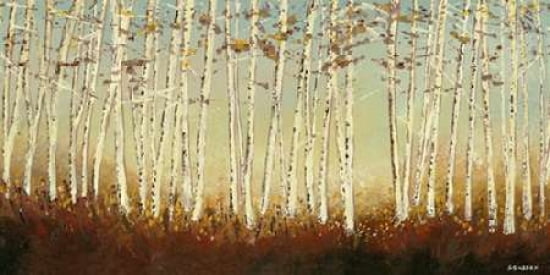Silver Birch Trees Canvas Art - Serena Sussex (24 x 48)