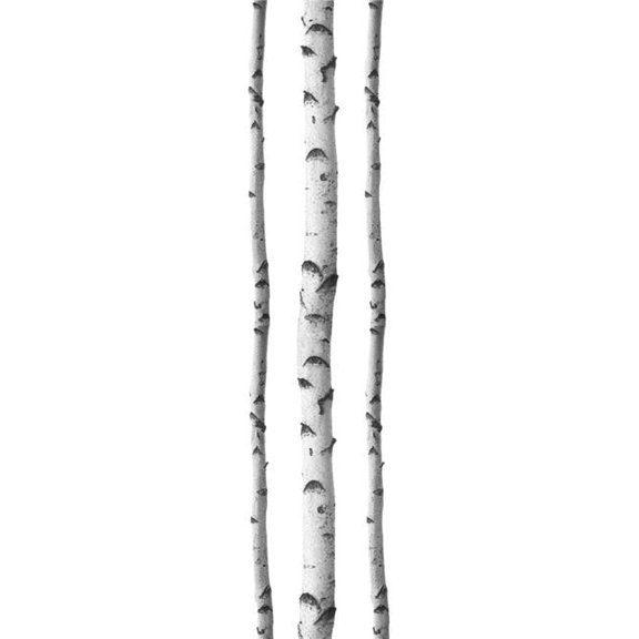 Silver Birches Wall Art Kit