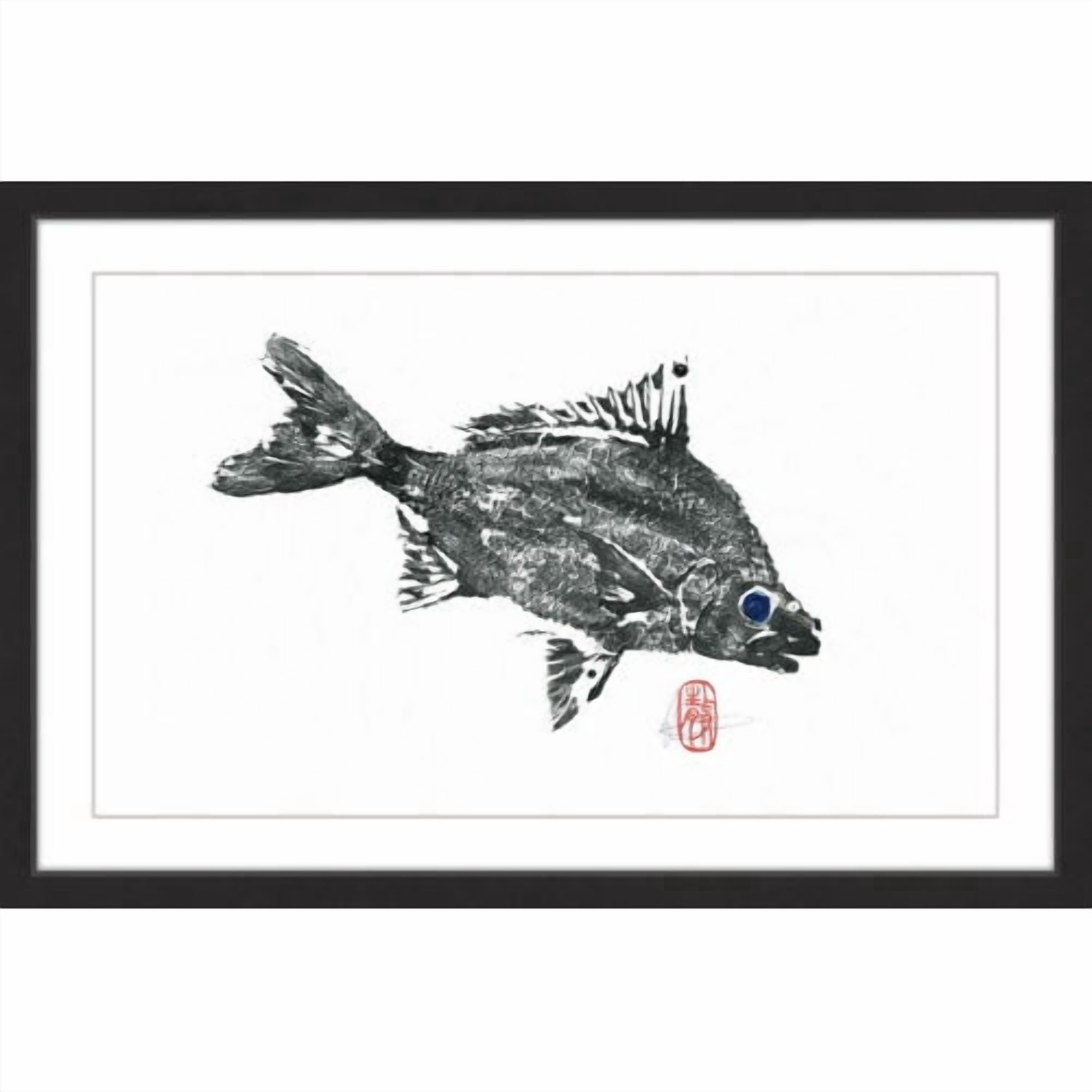 "Silver Bream" Framed Painting Print