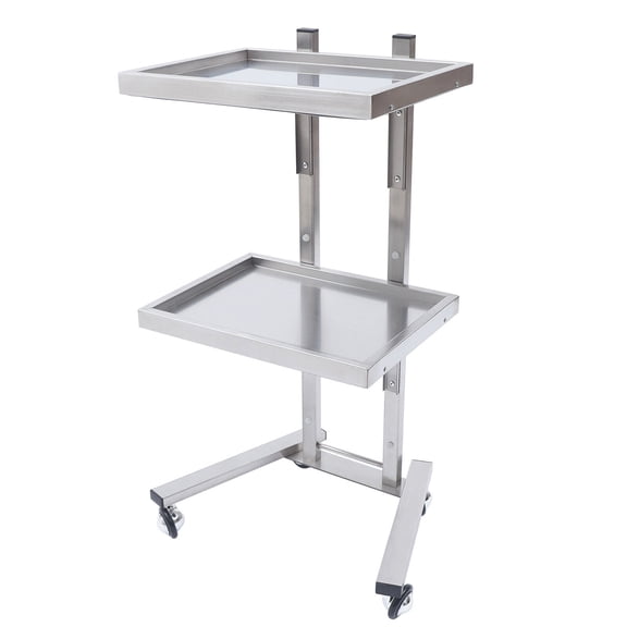 Silver Cart Rolling Trolley Beauty Salon Storage Cart Holder Stand 2-Tier