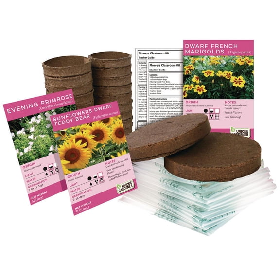 Silver Circle Growing Flowers Classroom Kit