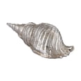 thumbnail image 1 of Silver Cone Shell, 1 of 1