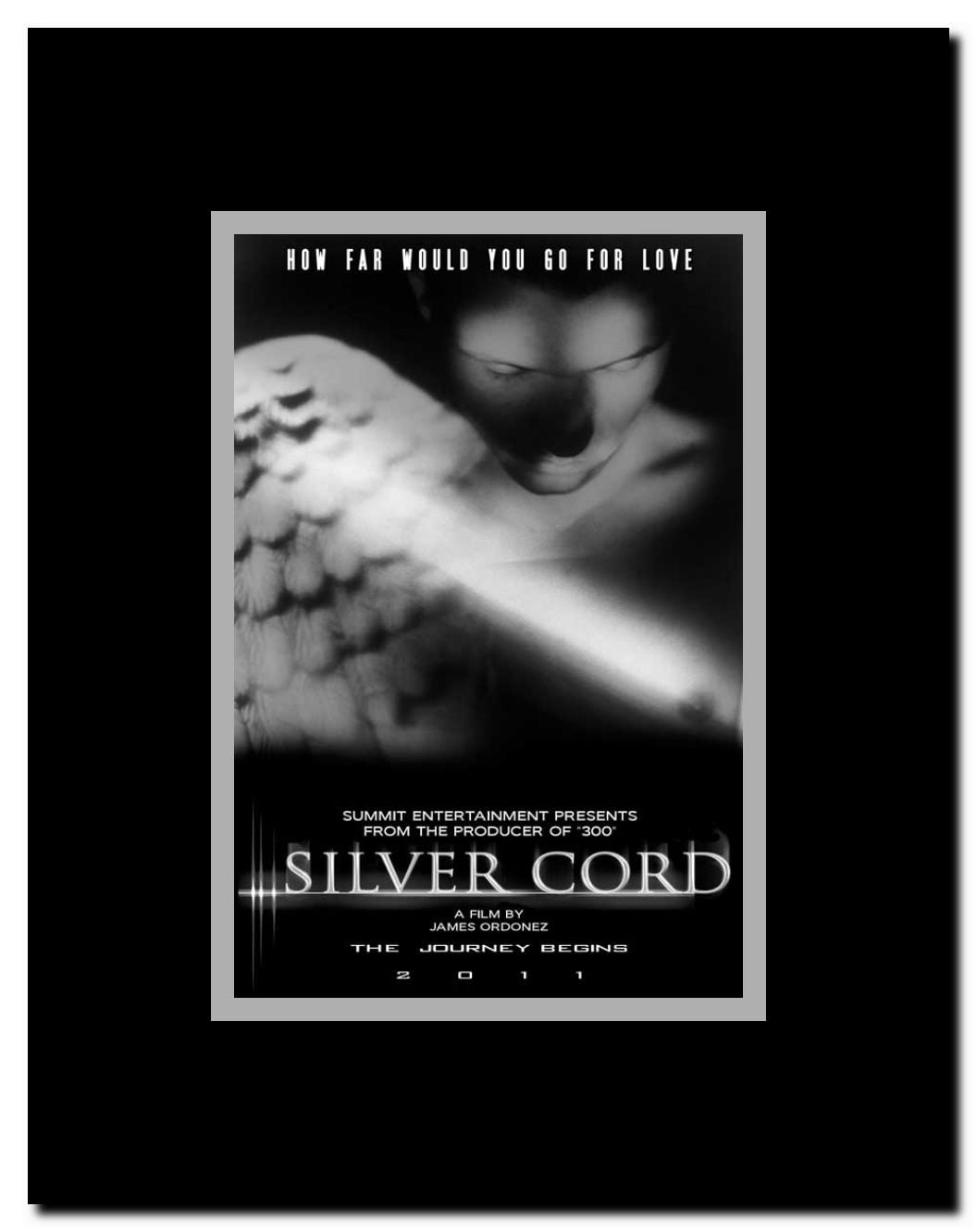 Silver Cord Framed Movie Poster