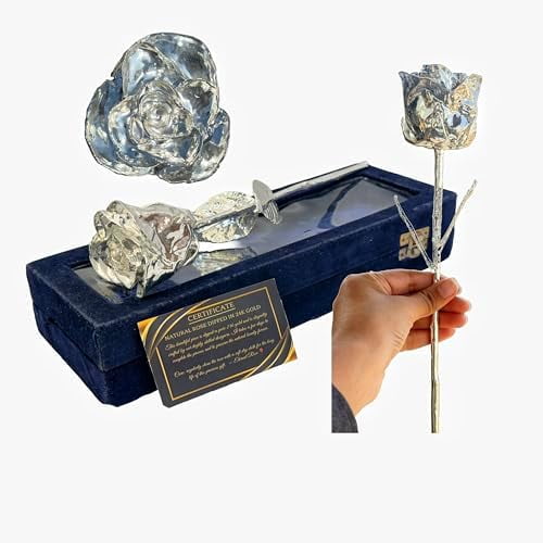 Silver Dipped Real Rose, Real Preserved Flower, Hand Dipped in Silver Real Rose, Unique Luxury Gifts for Mothers, Proposal, Anniversary, Graduation, Birthday$$Home Decor, Kitchen, & Other