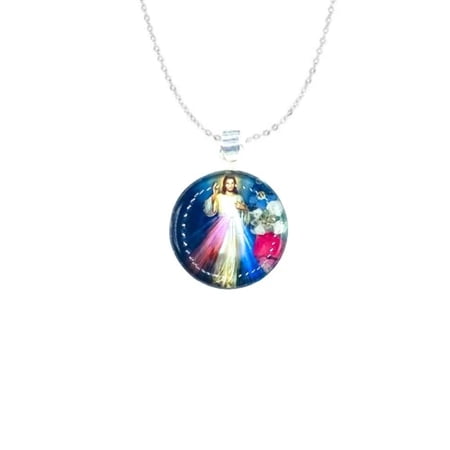 Silver Divine Mercy Mini Round Pendant w/ Pressed Flowers 18-inch